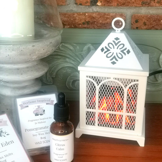 White Fireplace Electric Burner